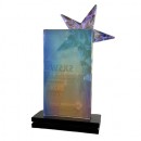 Plated Crystal Award