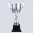 Trophy Cup