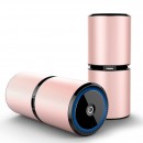 Ionic Air Purifier with Dual USB Ports