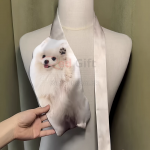 異形領呔可訂製