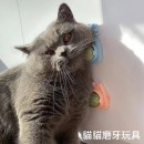 猫咪猫薄荷旋转球 猫咪猫薄荷旋转球
