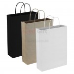 Paper Trade Show Bag