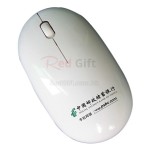 Wireless Mouse