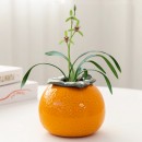 Orange Ceramic Flower Pot