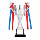 Trophy Cup