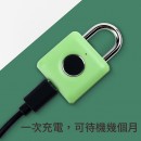 Fingerprint Travel Lock