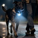 迷妳便攜磁吸式手電筒補光燈