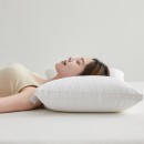 Compressed Pillow core (Pillow) Compressed Pillow core (Pillow)