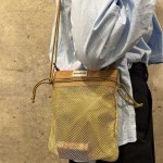 Foldable Multi-Purpose Bag