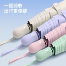 超輕六骨自動傘 超輕六骨自動傘