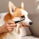 宠物泪痕刷 宠物泪痕刷