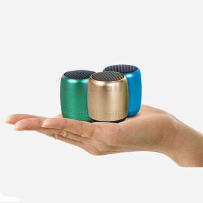 Mini Bluetooth Speaker