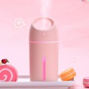 Lamp Humidifier