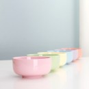 Colorful Family Bowl