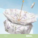 雙層黑膠五摺雨傘