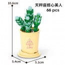 Coffee Cup Plant Series Building Blocks-12 Constellations Succulent Series