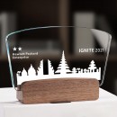 Crystal Trophy