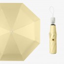 Folding Umbrella