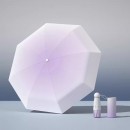 Gradient Folding Umbrella