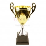 Trophy Cup