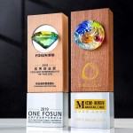 Glass Crystal Solid Wood Trophy