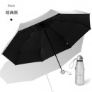 Folding Umbrella