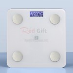 Electronic Health Scale