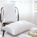 Compressed Pillow core (Pillow) Compressed Pillow core (Pillow)