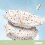 雙層黑膠五摺雨傘