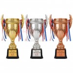 Gold, Silver and Bronze Trophies