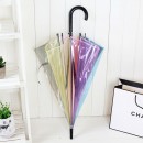 Transparent Rainbow Umbrella