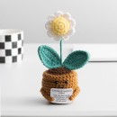 Knitted flower plant pot