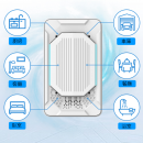 便攜式直插款隨身空氣淨化器