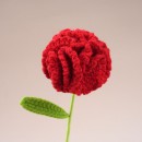 Bouquet of pipe cleaner carnations and tulips