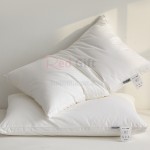Compressed Pillow core (Pillow)