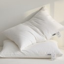 Compressed Pillow core (Pillow) Compressed Pillow core (Pillow)