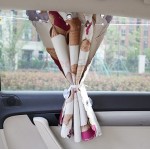 Car Curtain