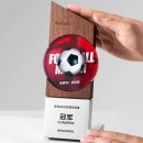 Solid Wood Crystal Award