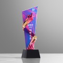  Crystal Trophy