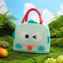 Insulated and refrigerated lunch box bag