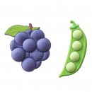 水果冰箱贴 水果冰箱贴