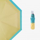 Folding Umbrella