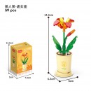 Coffee Cup Plant Series Building Blocks-The 12 Zodiac Signs' Guardian Flower Collection