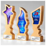 創意木質水晶獎座