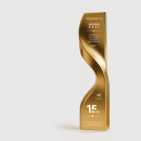 曲線金屬獎座 曲線金屬獎座