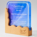 Wooden Crystal Trophy