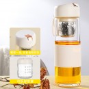 Portable Glass Mug with Infuser
