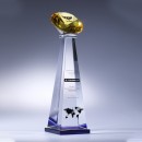 Crystal Trophy