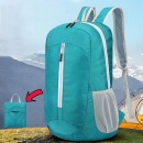 Folding Backpack