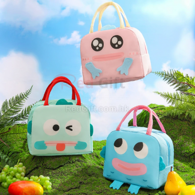 Insulated and refrigerated lunch box bag
